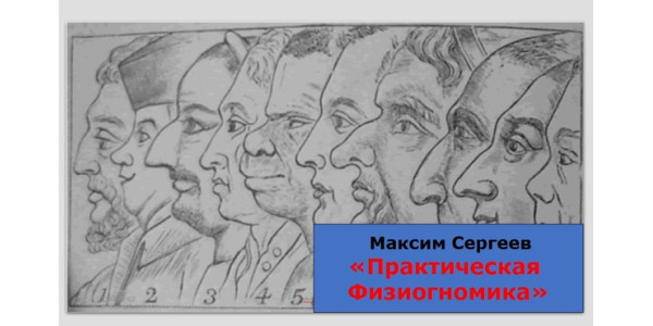 Семинар Сергеева М. Ю. «Физиогномика»